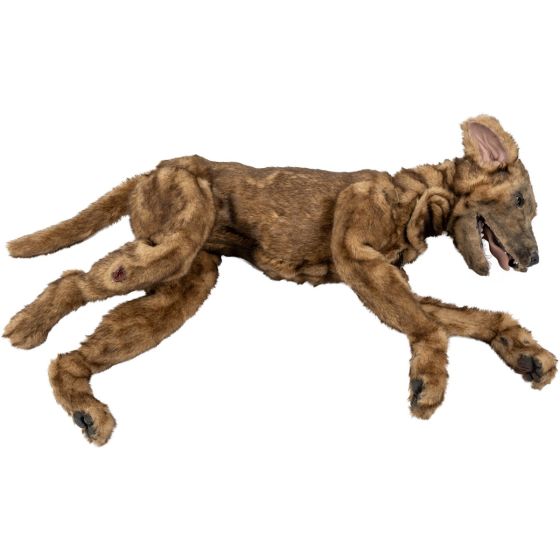 K9 Medical Simulator