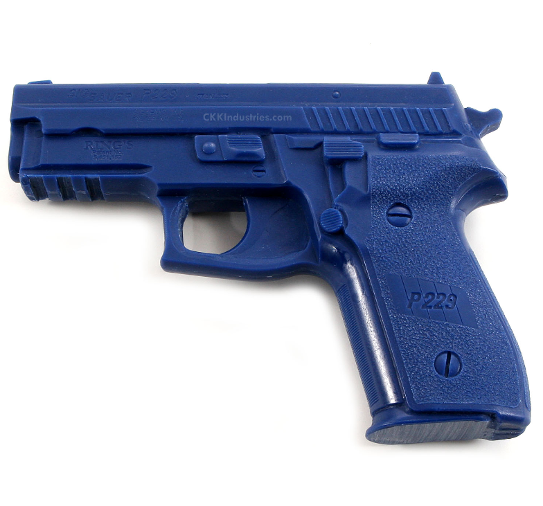 SIG P229 w/Rails