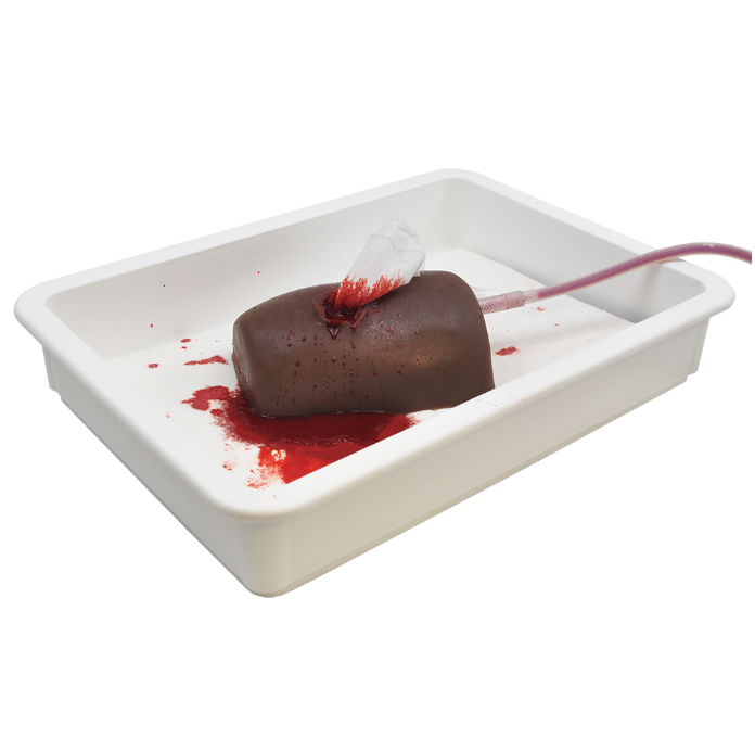 Tray for Bleeding Control Trainers