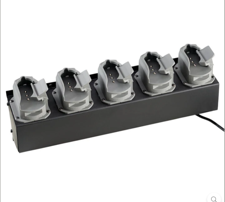 Survivor X 12V DC Bank Charger